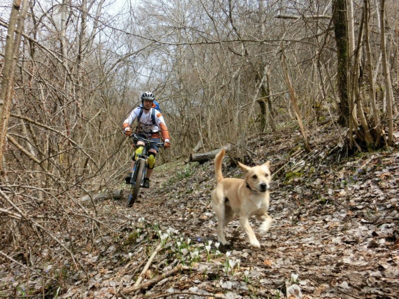 Biker e Cane