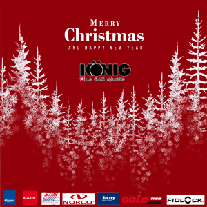 Auguri di Buone Feste