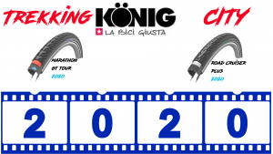Gamma Schwalbe 2020 Trekking e City