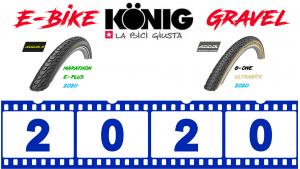 Gamma 2020 Schwalbe E-Bike e Gravel